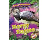 Harpy_Eagles